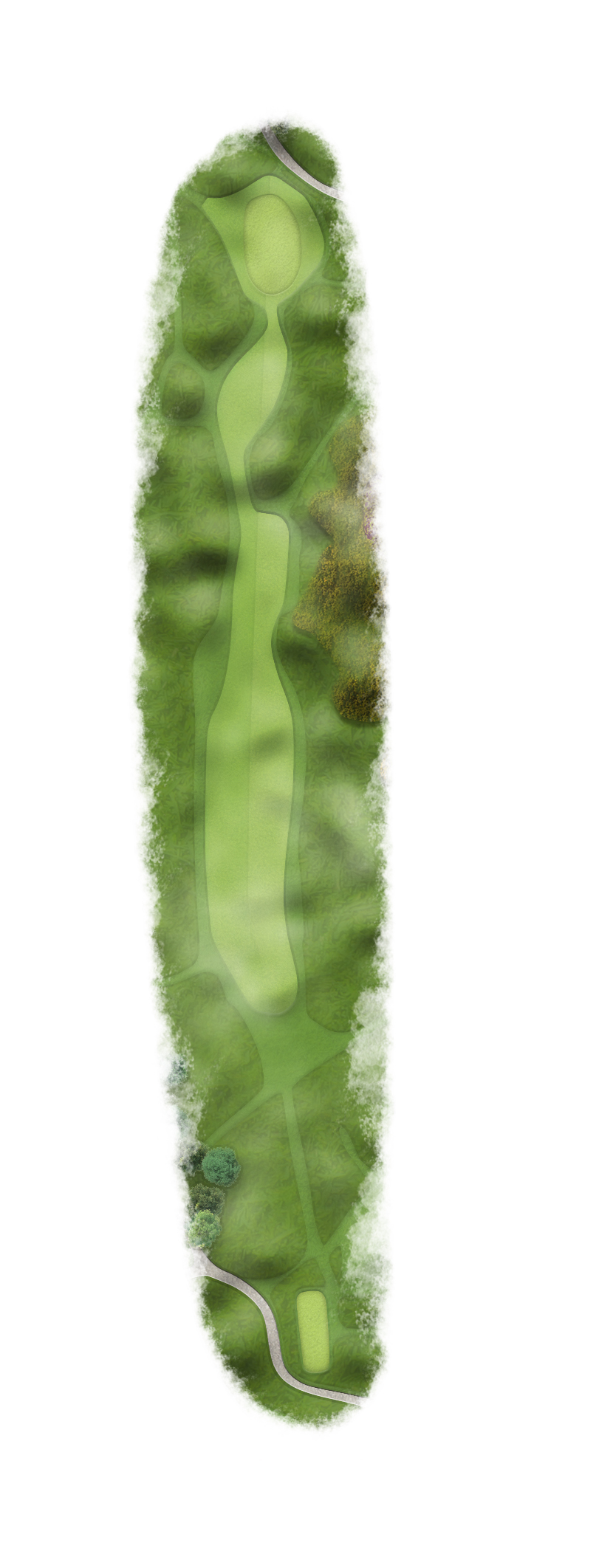 Hole Fifteen Map